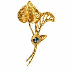 B-237 - Broche Lions Clube