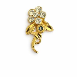 B-263 - Broche Lions Clube