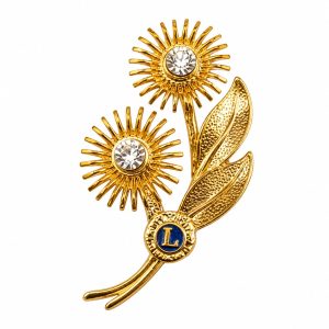 B-245 - Broche Lions Clube
