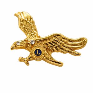 B-257 - Broche Lions Clube