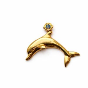 B-233 - Broche Lions Clube