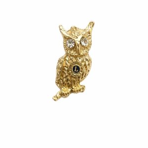 B-207 - Broche Lions Clube