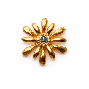 B-213 - Broche Lions Clube