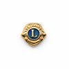 D-101 - Distintivo Mosquitinho - Banhado a Ouro
