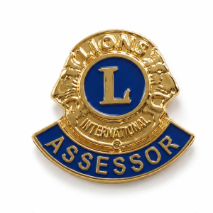 D-092 - Distintivo Assessor 15mm - Banhado a Ouro