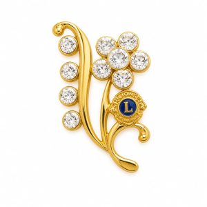 B-269 - Broche Lions Clube